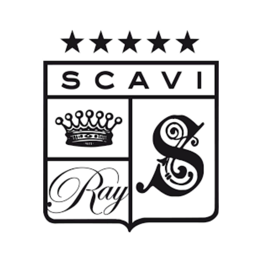 Scavi-ray-logo